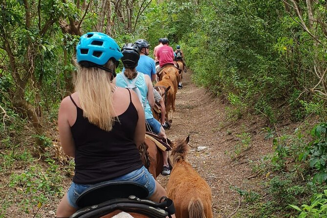 3 Hours Horseback Riding from Nature Trails to Sofa Stone - Key Highlights You Should Know