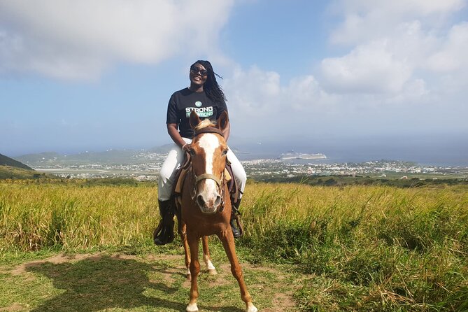 3 Hours Horseback Riding from Nature Trails to Sofa Stone - Wildlife and Scenery on the Move, Not Just at the Top