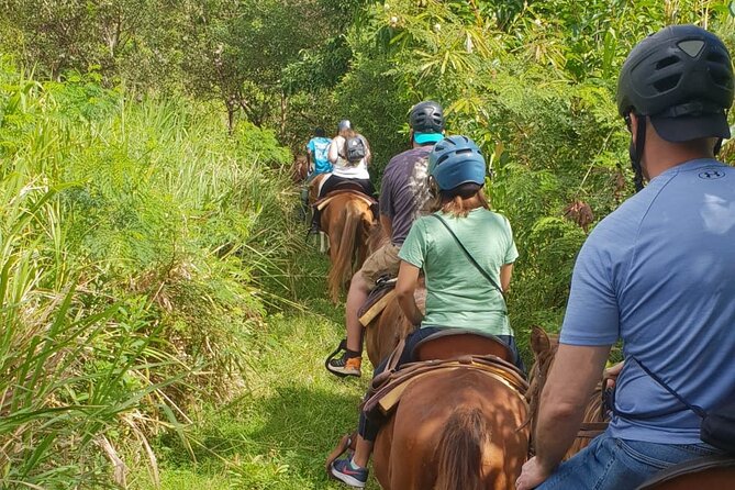 3 Hours Horseback Riding from Nature Trails to Sofa Stone - The Ride Down and the Base Stop for Refreshments