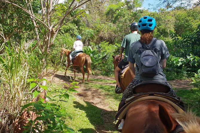 3 Hours Horseback Riding from Nature Trails to Sofa Stone - How Much Effort Is Actually Involved?