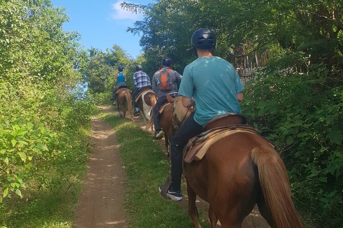 3 Hours Horseback Riding from Nature Trails to Sofa Stone - Price and Value: Is $97.50 a Good Deal?