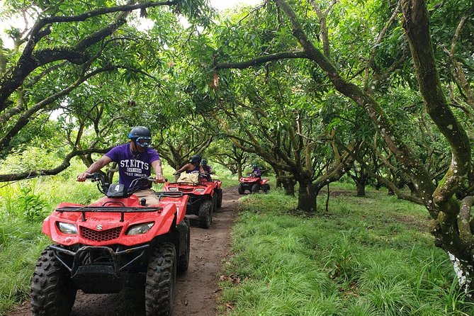ATV Tour of St Kitts - Should You Book This ATV Tour in St Kitts?