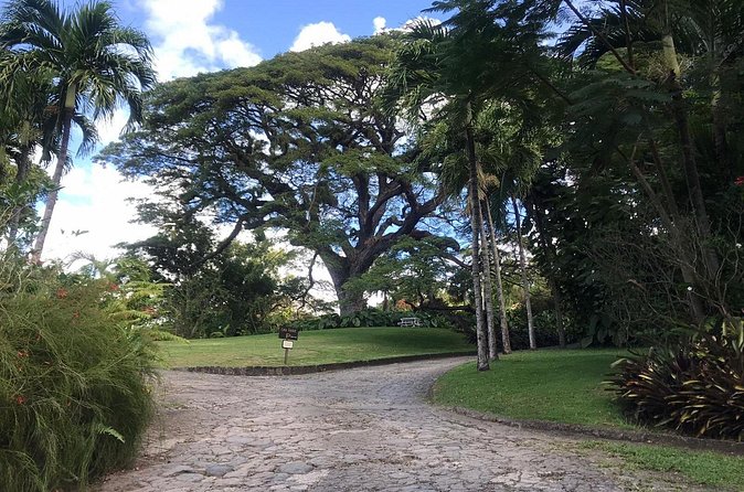 Basseterre Half Day Tour - Timothy Hill and the Payoff View Moments