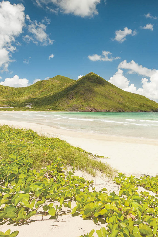Basseterre: Highlights Capital and Beach Tour - Who This Tour Suits Best (and Who Might Want a Different Plan)