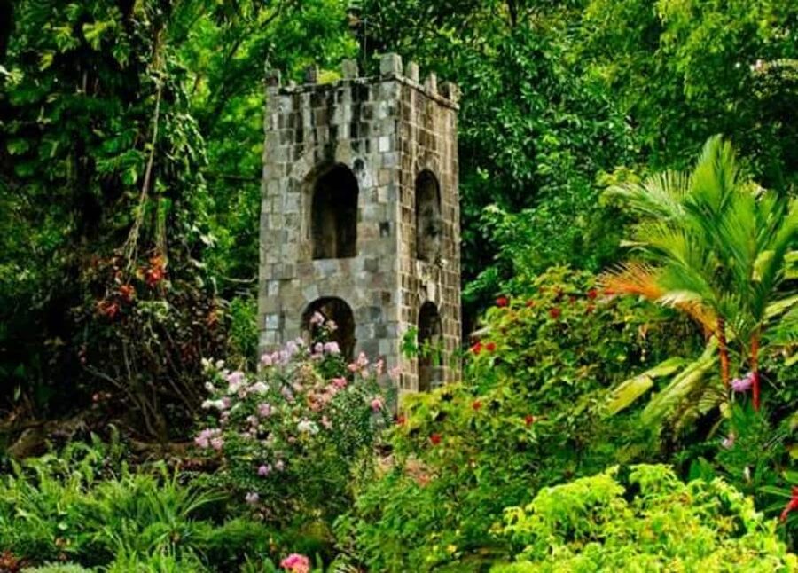 Basseterre: Plantation and Beach Extravaganza - Key Points Worth Your Time