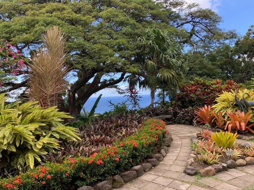 Basseterre: Plantation and Beach Extravaganza - First, Understand What This Tour Is Really Doing