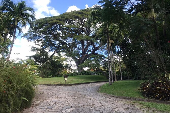 Basseterre Plantation Private Half Day Tour - Price and value: $240 per group up to 4, with options for bigger crews