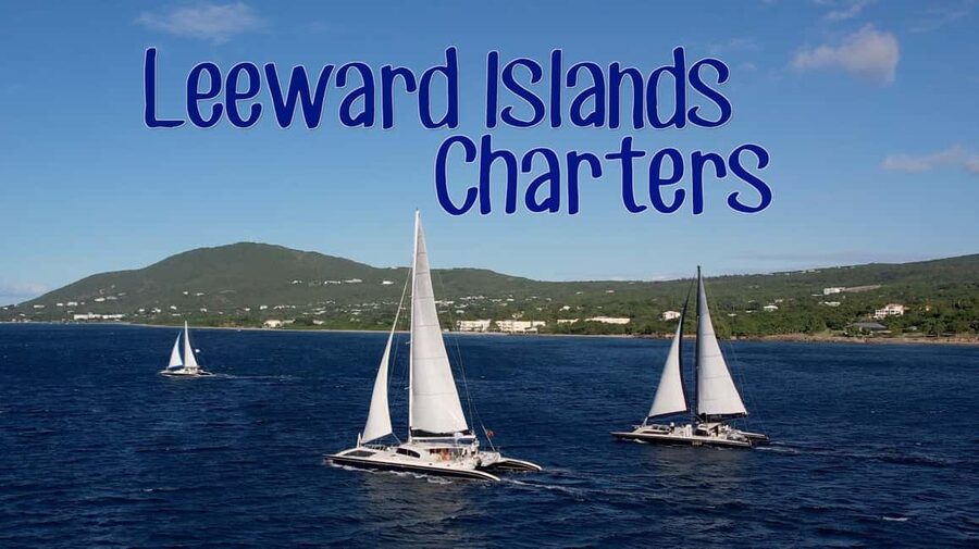Basseterre: St Kitts 4-hour Catamaran Snorkel Cruise & Lunch - The Sea-Access Snorkel Stop: Where the Underwater Sea Life Shows Up