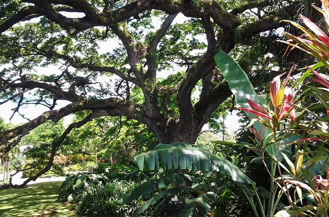 Best of St. Kitts Highlight Tour. - What to Bring, What to Expect, and How to Pace Yourself