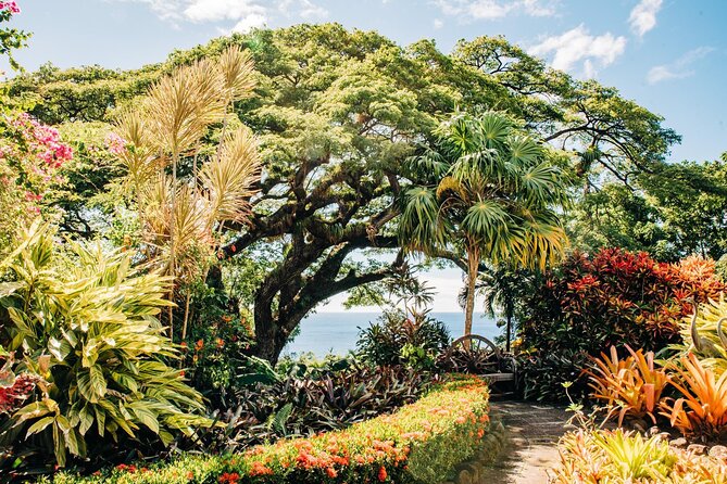 Best of St. Kitts Private Half Day Tour - What Makes This Private Half-Day Route Feel Like Your Own Day