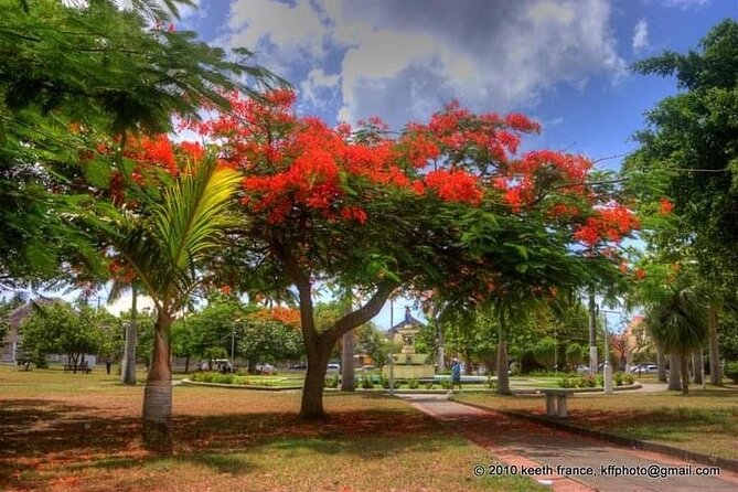 Best of St. Kitts Private Half Day Tour - Basseterre City Sights on the Way In and Out