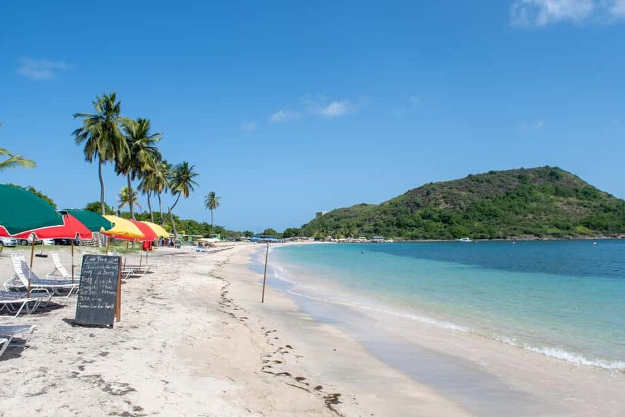 Cockleshell: Beach Excursion, Snorkeling, and Scenic Views - Green monkeys, camera time, and how to enjoy the “extra” moments