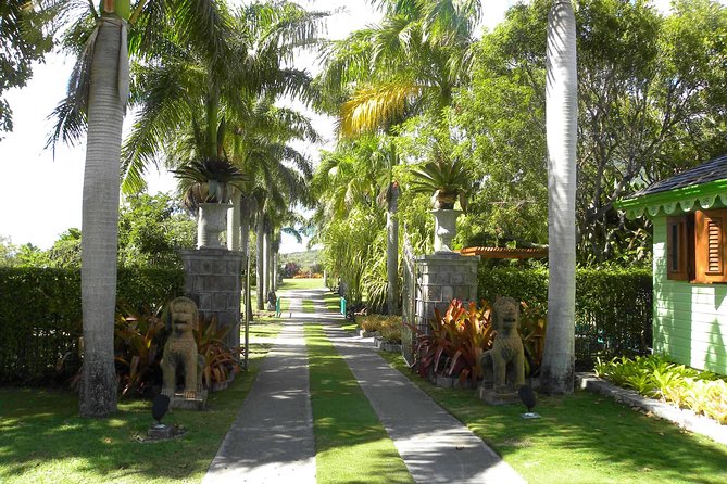 Discover Nevis, Island Tour (Private) - Nevis highlights in one private 3.5-hour loop