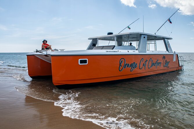 Full Day Luxury Snorkel Charter With Lunch (Minimum 10 Guests) - The 45 Power Cat: Comfort, Space, and Crew Who Actually Work