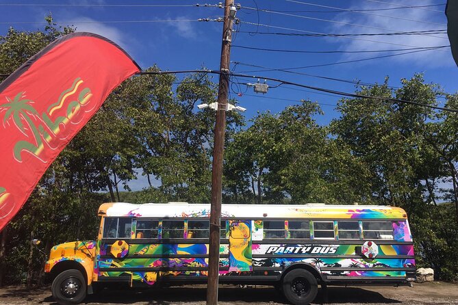 Half Day St. Kitts Party Bus City Excursion and Beach - How the party bus day actually plays in St. Kitts