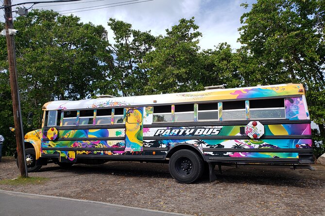 Half Day St. Kitts Party Bus City Excursion and Beach - Price and value: what $38 buys you (and what it does not)