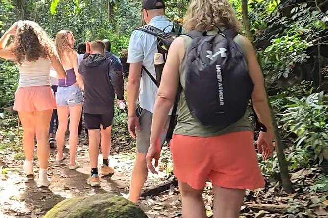 Half-Day St. Kitts Rainforest Hike - Quick take: what stands out most