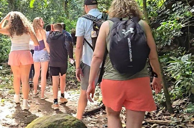 Half-Day St. Kitts Rainforest Hike - What you pay, and why it feels like good value at $71
