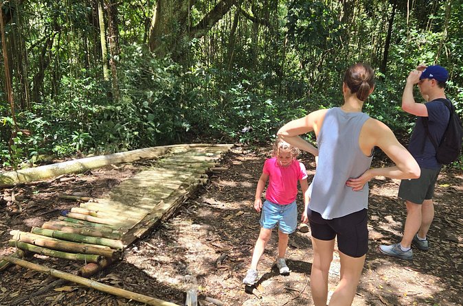 Half-Day St. Kitts Rainforest Hike - Who should book this St. Kitts rainforest hike