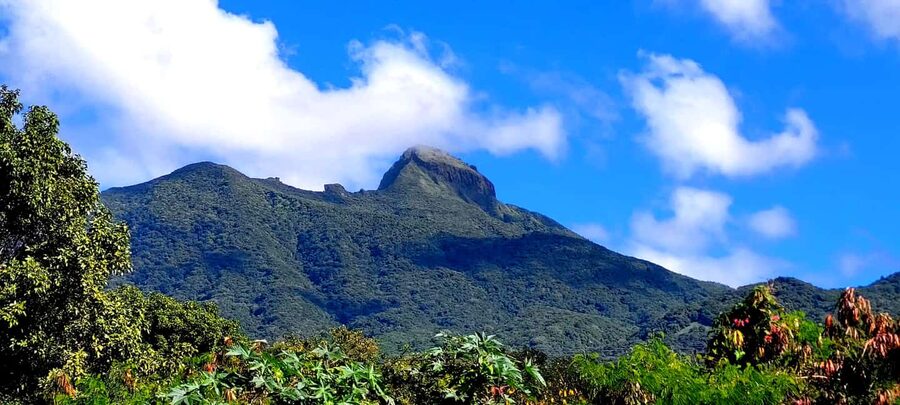 Hike St. Kitts: Highest peak Mount Liamuiga Volcano - What to bring to keep the rainforest from ruining your day