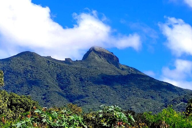 Hike St. Kitts: Highest peak Mount Liamuiga Volcano - The guides: patient, organized, and strong on safety