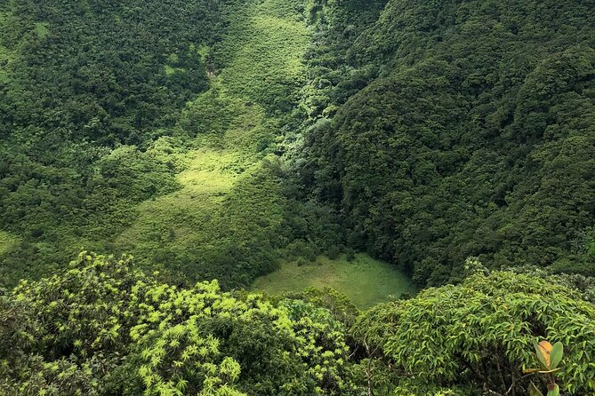 Hike St. Kitts: Highest peak Mount Liamuiga Volcano - What’s included, and how to think about the $109 price