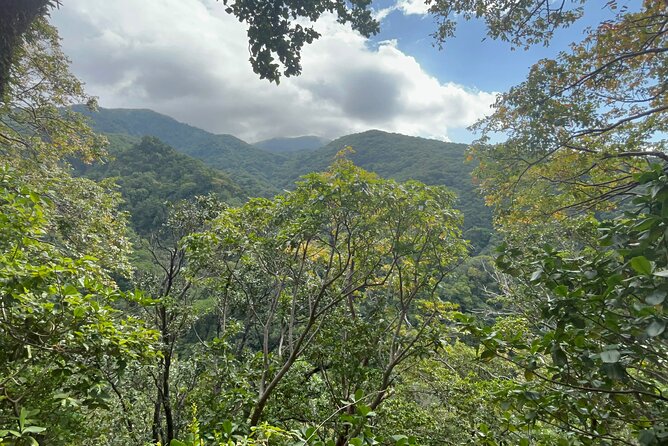 Hike St Kitts: Wingfield Rainforest and Romney Experience - Key highlights worth marking on your day