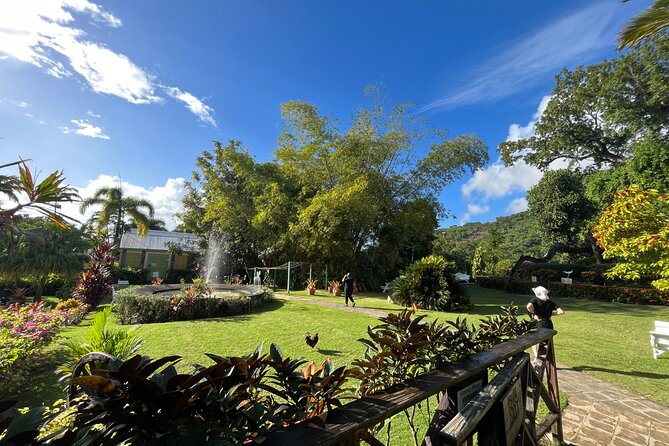 Hike St Kitts: Wingfield Rainforest and Romney Experience - Getting there from MaPau Casino: Pickup, van ride, and pacing