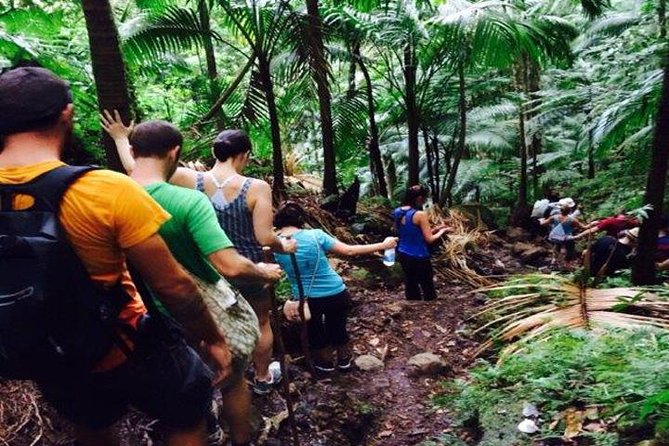 Hiking Mount Liamuiga Volcano in St Kitts - Key points to know before you lace up