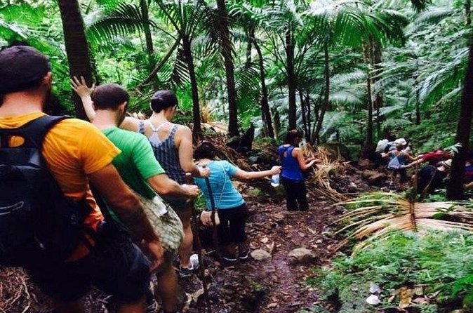 Hiking Mount Liamuiga Volcano in St Kitts - Pacing, rest stops, and how the guide can make or break the day
