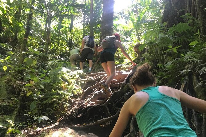 Hiking Mount Liamuiga Volcano in St Kitts - Snacks and refreshments: the quiet value in the included food