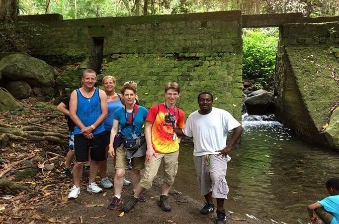 Hiking Mount Liamuiga Volcano in St Kitts - Price and value: is $100 a fair deal for Liamuiga?