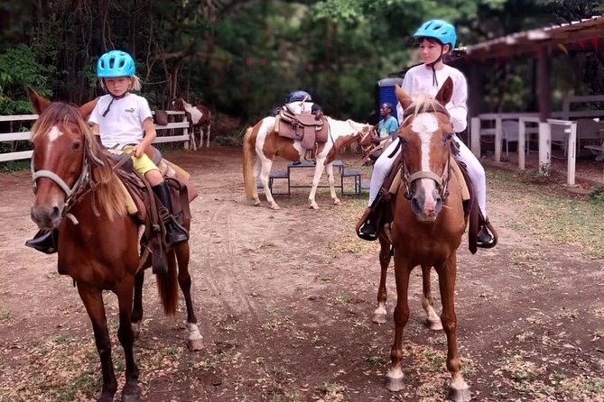 Horseback Riding, A Scenic Escape - Basseterre Viewpoints, a Short Walk, and the Sofa Stone