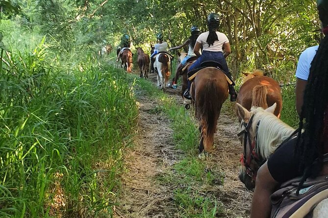 Horseback Riding, A Scenic Escape - Wildlife Spotting, Including Monkeys