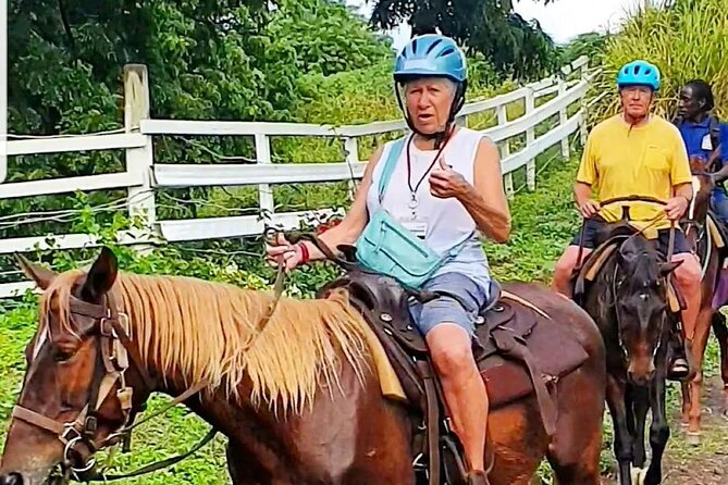 Horseback Riding, A Scenic Escape - What the Small Group Size Really Does for You