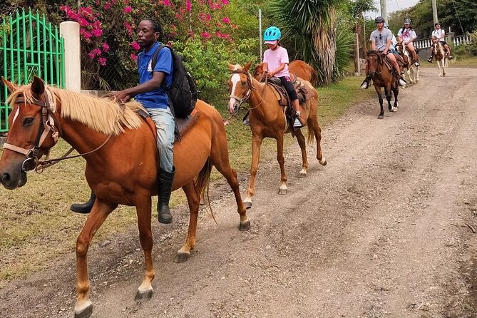 Horseback Riding, A Scenic Escape - Price, Pickup, and Value for a 3.5 Hour Ride
