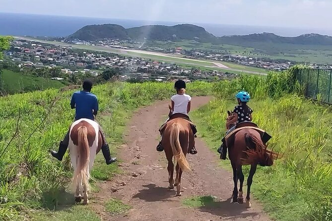 Horseback Riding, A Scenic Escape - The Route Starts With a Quick Orientation and Horse Fit