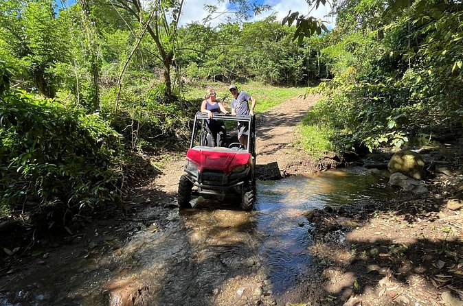 Jungle bikes Dune Buggy - Who This Tour Suits Best (and Who Should Skip It)