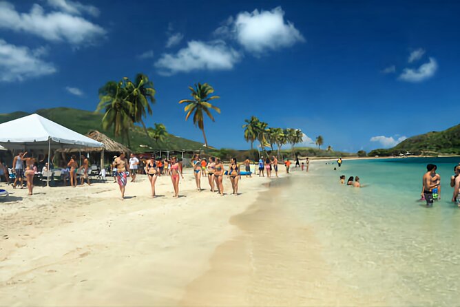 Ken's Beach Hopping Excursion - Cockleshell Beach for 2 hours: the swim-and-snorkel payoff