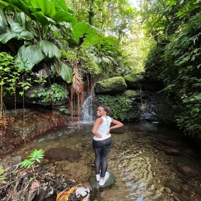 Lawyer Stephen Hike with Waterfall and Cave Hike - Key highlights to know before you go