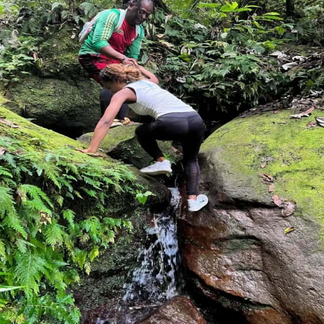 Lawyer Stephen Hike with Waterfall and Cave Hike - James Stephen Trail: A Nevis Hike With Meaning, Not Just Views