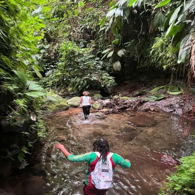 Lawyer Stephen Hike with Waterfall and Cave Hike - Price and Value in Nevis: What $85 Actually Buys You