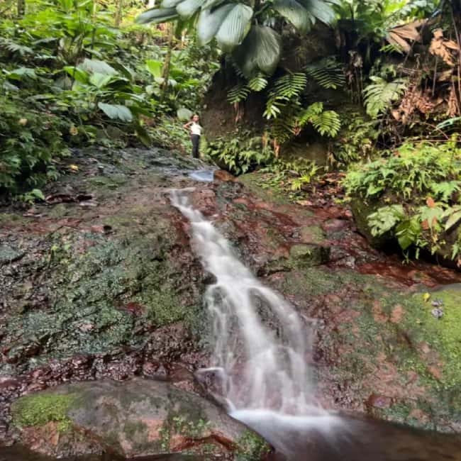 Lawyer Stephen Hike with Waterfall and Cave Hike - Transportation and Timing: How to Think About a Cruise Day