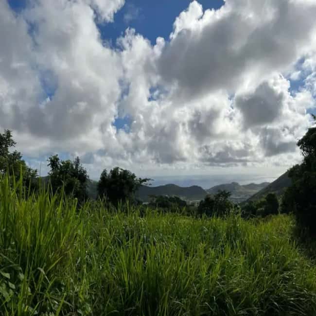 Lawyer Stephen Hike with Waterfall and Cave Hike - What to Wear and Bring for the Rainforest Terrain
