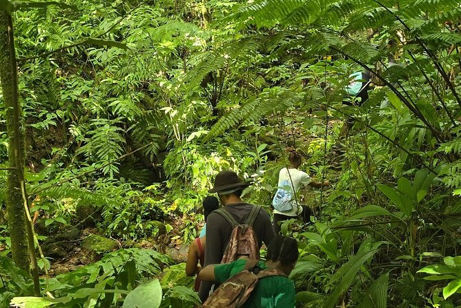 Lawyer Stephen’s Cave & Waterfalls Hike - Key Points You’ll Care About Before You Go
