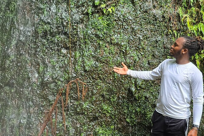 Lawyer Stephen’s Cave & Waterfalls Hike - The First Falls Moment: Why Reaching the First Cascade Still Feels Like a Win