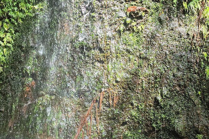 Lawyer Stephen’s Cave & Waterfalls Hike - How Long Is It, Really? Timing That Keeps a Full Day Free