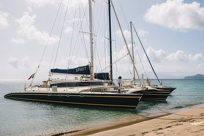 Leisure Full Day Catamaran (Blue, Aqua or LIC) - Sustainability: why this trip pays attention to the water
