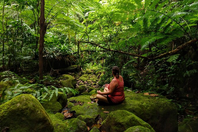 Mindfulness Rainforest Hike, Forest Bathing, Volcanic Hot Springs - Rainforest mindfulness in Nevis, why it feels different