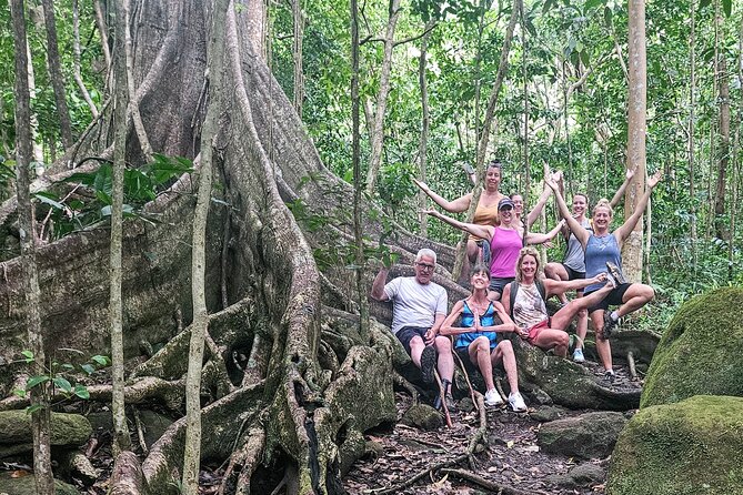 Mindfulness Rainforest Hike, Forest Bathing, Volcanic Hot Springs - Value check: does $175 feel fair for this 5-hour experience?